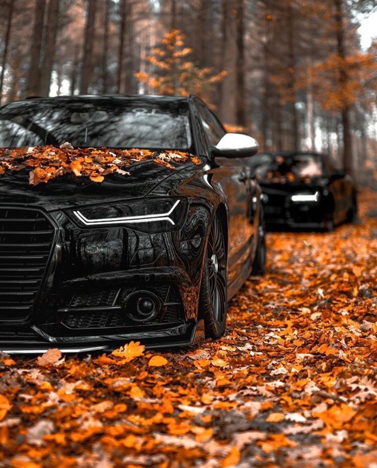Audi A6 в осеннем лесу - просто сказочный вид