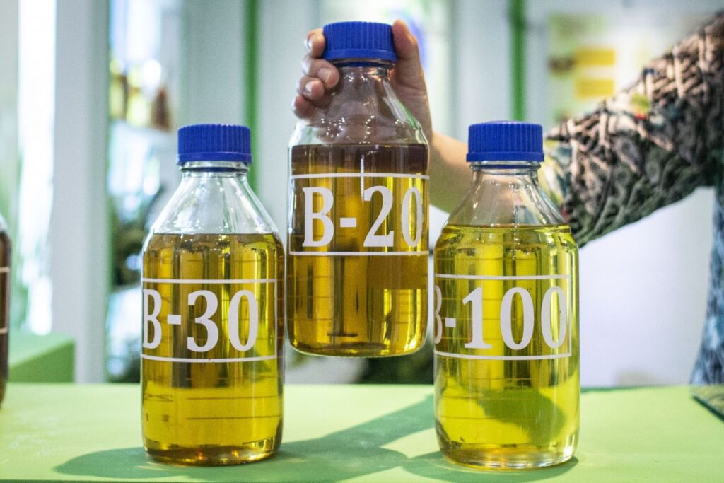 Биодизель - что это за топливо и почему его не производят в РФ