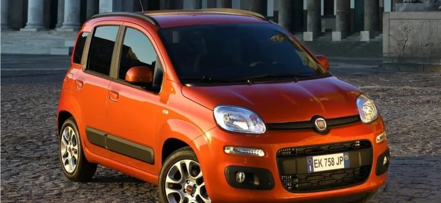 Как Fiat связан с медведем и другие забавные "звериные" автофакты