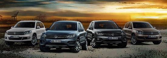 Новогоднее предложение на автомобили Volkswagen 2013 года с преимуществом в цене!