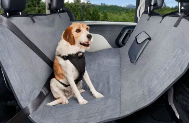 Правила перевозки собак в машине