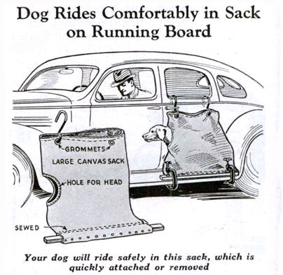 Устройство прошлого века для перевозки собак